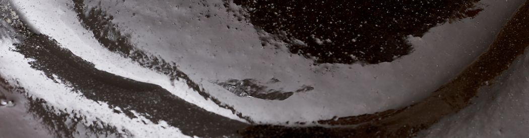 Pâtes de vanille