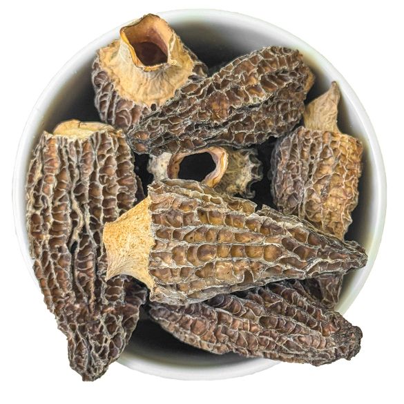 Morilles séchées - 125 g | Eurovanille